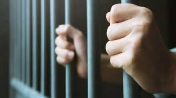 المؤبد لجزار في جريمة خطف فتاة والاعتداء عليها وسرقتها بمدينة العبور