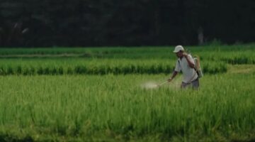 لجذب الاستثمارات للقطاع.. ماهي خطة وزارة الزراعة الفترة المقبلة؟