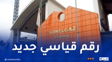 صادرات مجمع سونلغاز تجاوزت الـ268 مليون يورو خلال سنة 2024 – مصربوست