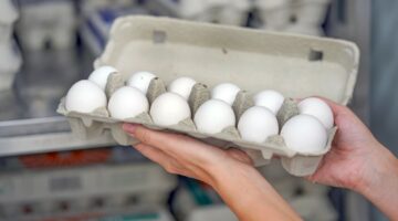 أمريكا تتجه إلي استيراد البيض من تركيا بسبب انفلوانزا الطيور