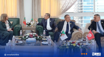 وزير الداخلية يتحادث مع نظيريه التونسي والبرتغالي – مصربوست