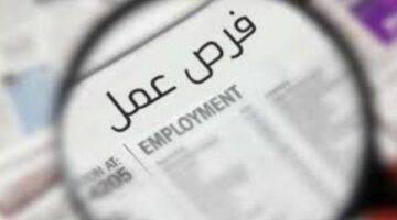 وظائف لشباب الخريجين في بورسعيد .. اعرف الشروط وطريقة التقديم
