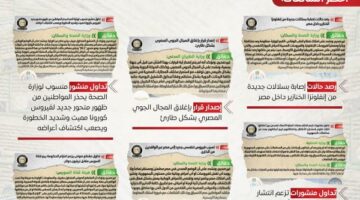 جهود مواجهة الشائعات على مدار عام ٢٠٢٤ | الأخبار
