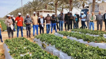 مصر تعزز تعاونها المائي مع دول أفريقيا ببرامج «الري الذكي»