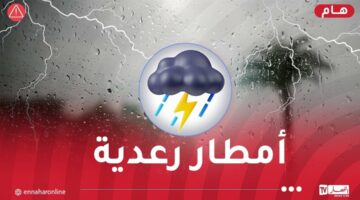 رياح قوية.. أمطار رعدية غزيرة وبَرَد على هذه الولايات اليوم – مصربوست