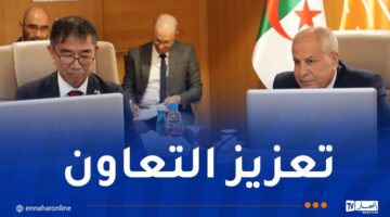 الجزائر يمكنها إنتاج الهيدروجين الأخضر بأقل تكلفة واليابان مستعدة للإستثمار – مصربوست