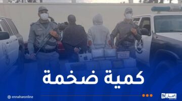 مخبأة بطريقة غريبة.. حجز أكثر من 28 كلغ كوكايين بالشلف – مصربوست