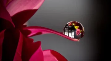 من أجمل ما قرأت – مصربوست