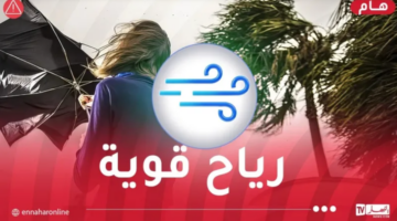 أمطار رعدية ورياح قوية تتعدى 80 كلم/سا تجتاح هذه الولايات – مصربوست
