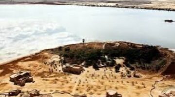 كنوز خضراء في سيوة.. أكثر من 40 نوعًا من النباتات الطبية والرعوية