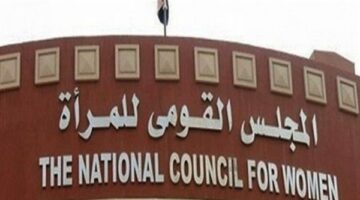 لجنة المحافظات بالقومي للمرأة تناقش خطة عملها خلال الفترة المقبلة