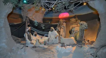 متحف منتزه خليفة: رحلة زمنية تسرد حكاية أبوظبي عبر التاريخ