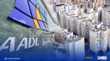 عدل 3.. بشرى سارة للجزائريين الأسبوع المقبل – مصربوست