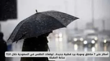 الأرصاد الجوية: أمطار على 7 مناطق وموجة برد قطبية جديدة خلال 72 ساعة