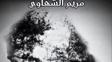 رواية لا تخافي عزيزتي الفصل التاسع وعشرون 29بقلم مريم الشهاوي (حصريه وجديده في مدونة مصر بوست)