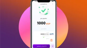 رسوم إنستا باي: كل ما يجب معرفته عن التحويلات وخدمات الاستعلام الجديدة