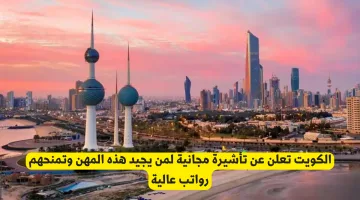 الكويت: تأشيرة مجانية للمتميزين في هذه المهن برواتب عالية مغرية