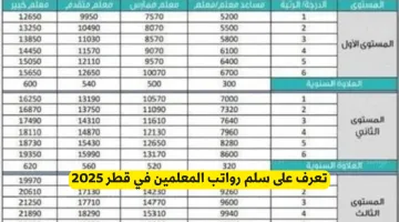 سلم رواتب المعلمين في قطر 2025: تفاصيل مهمة عليك معرفتها