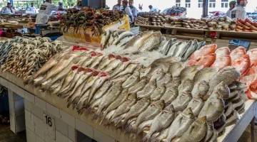 أسعار السمك اليوم في مصر 22 مارس 2025: تحديث جديد للأسواق