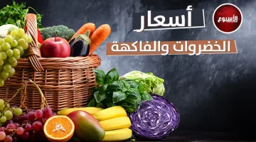 أسعار الخضروات والفاكهة اليوم السبت 22 مارس 2025 في الأسواق المحلية