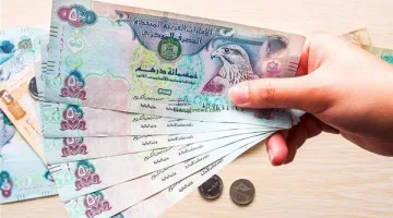 سعر الدرهم الإماراتي اليوم في البنك المركزي المصري السبت 22 مارس 2025