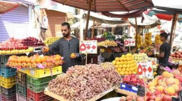 أسعار الخضروات اليوم في الأسواق المصرية: تحديث جديد للأسعار اليومية
