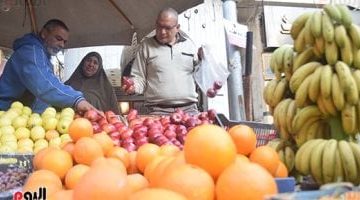 أسعار الفاكهة اليوم في مطروح: الفراولة بـ 25 جنيهًا وتحديثات جديدة
