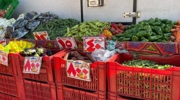 أسعار الخضراوات اليوم في الإسماعيلية السبت 22 مارس 2025 بشكل محدث