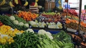 أسعار الفواكه اليوم في الإسماعيلية: تعرف على أحدث التغيرات لعام 2025