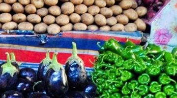 تحديث أسعار الخضراوات في الإسماعيلية ليوم الاثنين 10 مارس 2025