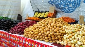 سعر الخضراوات والفواكه اليوم في المنوفية: الطماطم تسجل 4 جنيهات فقط