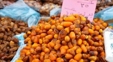 تعرف على أسعار البلح اليوم في محلات مطروح: الصعيدي بـ40 جنيهًا – الخميس 6 مارس 2025