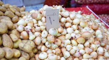 أسعار الخضراوات اليوم في أسواق مطروح: دليل شامل للتسوق بذكاء في 8-3-2025