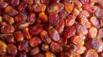 أسعار البلح السيوي اليوم الخميس 27 مارس 2025 في أسواق مطروح المحلية