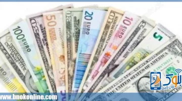 أسعار العملات اليوم في مصر: تحديث جديد للعملات الأجنبية والعربية الثلاثاء 25 مارس 2025