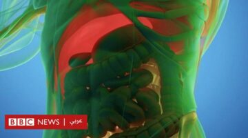 فوائد الصيام في رمضان: كيف يعزز صيامك صحة جسمك بشكلٍ ملحوظ؟