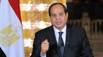 الرئيس السيسى: العدوان على غزة وصمة عار على جبين الإنسانية