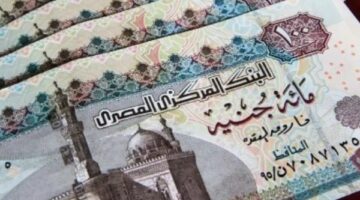 شروط الحصول على منحة العمالة غير المنتظمة.. وكيفية التسجيل