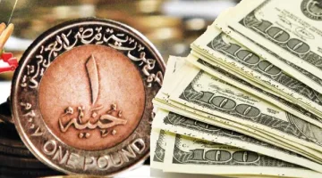 سعر الدولار الأمريكي اليوم الثلاثاء أمام الجنيه.. تحديث جديد ومباشر