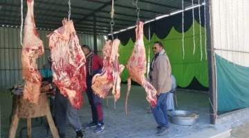 استقرار أسعار اللحوم في الوادي الجديد اليوم السبت دون أي تغييرات