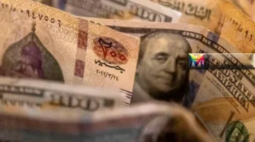 سعر الدولار اليوم مقابل الجنيه المصري في البنوك وشركات الصرافة 26 مارس 2025