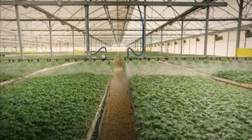 مستقبل مصر للتنمية المستدامة يطلق مبادرة لتوزيع سلع بأسعار مخفضة بشكل متكامل