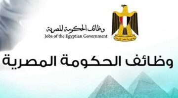 75 ألف معلم و30 ألف طبيب.. تعيينات مرتقبة في الجهاز الإداري للدولة| تفاصيل
