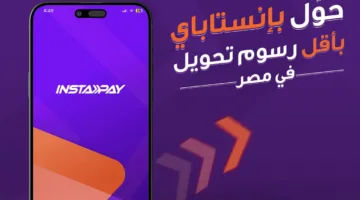 شبكة المدفوعات اللحظية تفرض رسومًا على خدمات إنستاباي بداية أبريل المقبل
