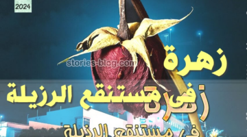 رواية زهرة في مستنقع الرزيلة الفصل الثامن عشر 18 بقلم جيهان عيد