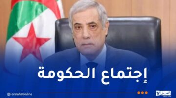 إنتاج الكهرباء وتطهير العقار السياحي على طاولة الوزير الأول – مصربوست