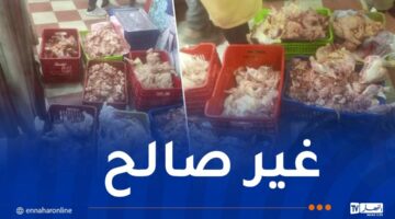 حجز أكثر من قنطارين من الدجاج الفاسد بأم البواقي – مصربوست