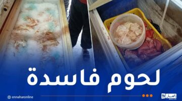 ضبط أكثر من قنطار من أحشاء الخروف والدجاج الفاسدة في عملية أمنية – مصربوست