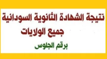 نتيجة الشهادة السودانية 2025.. تعرف على رابط الاستعلام الرسمي الآن