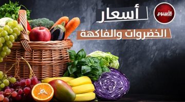الليمون بـ 55 جنيهًا.. تعرّف على أسعار الخضار والفاكهة اليوم 25 مارس 2025